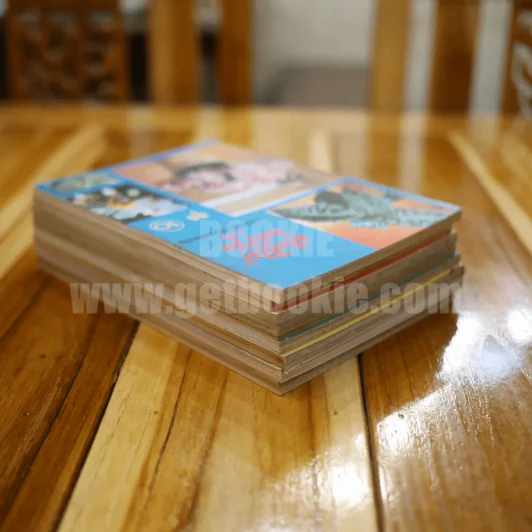 พันธุ์ไม้ในบ้านและการประดับตกแต่ง พร้อมภาพประกอบ ชุด 1-10 (ขาดเล่ม 5,7) รูปที่ 5