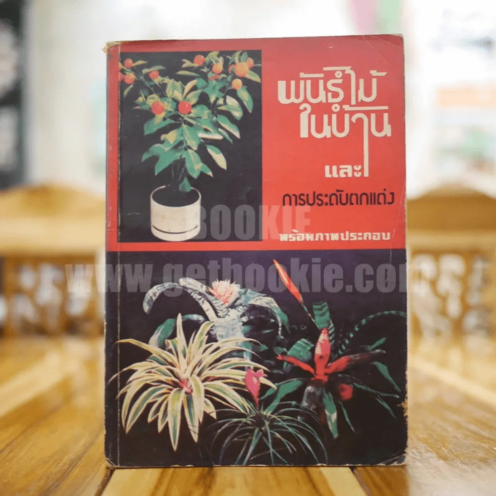 พันธุ์ไม้ในบ้านและการประดับตกแต่ง พร้อมภาพประกอบ รูปที่ 1