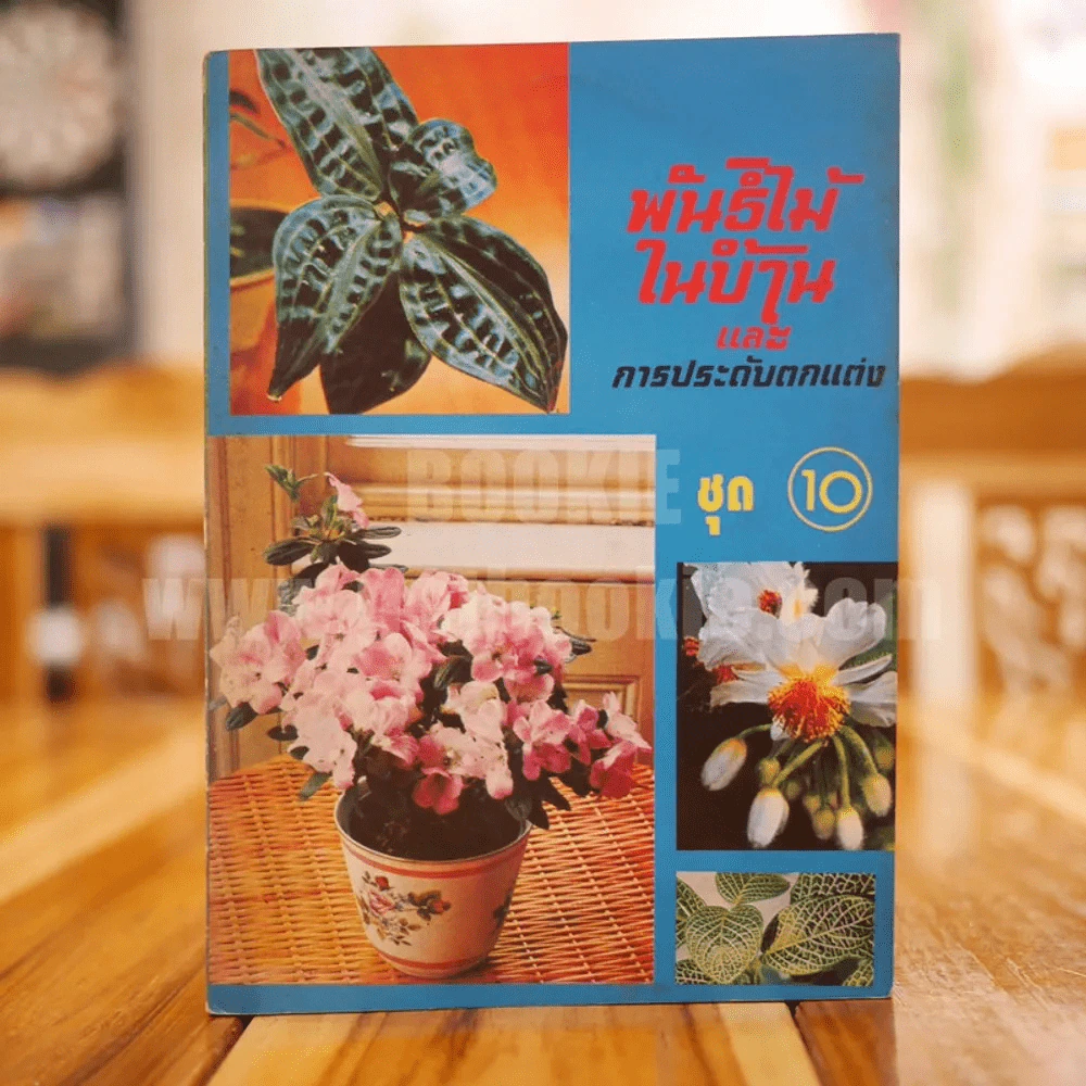 พันธุ์ไม้ในบ้านและการประดับตกแต่ง พร้อมภาพประกอบ ชุด 1-10 (ขาดเล่ม 5,7) รูปที่ 7