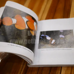 มิตรภาพในโลกสีคราม - วินิจ รังผึ้ง รูปที่ 7