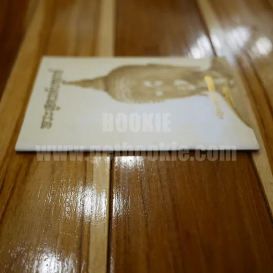 พระสูตรดับทุกข์ - เสฐียรพงษ์ วรรณปก ราชบัณฑิต รูปที่ 2