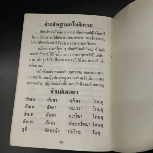 การ์ตูนคัมภีร์ธรรมกฎแห่งกรรม เหตุต้น-ผลกรรม รูปที่ 11