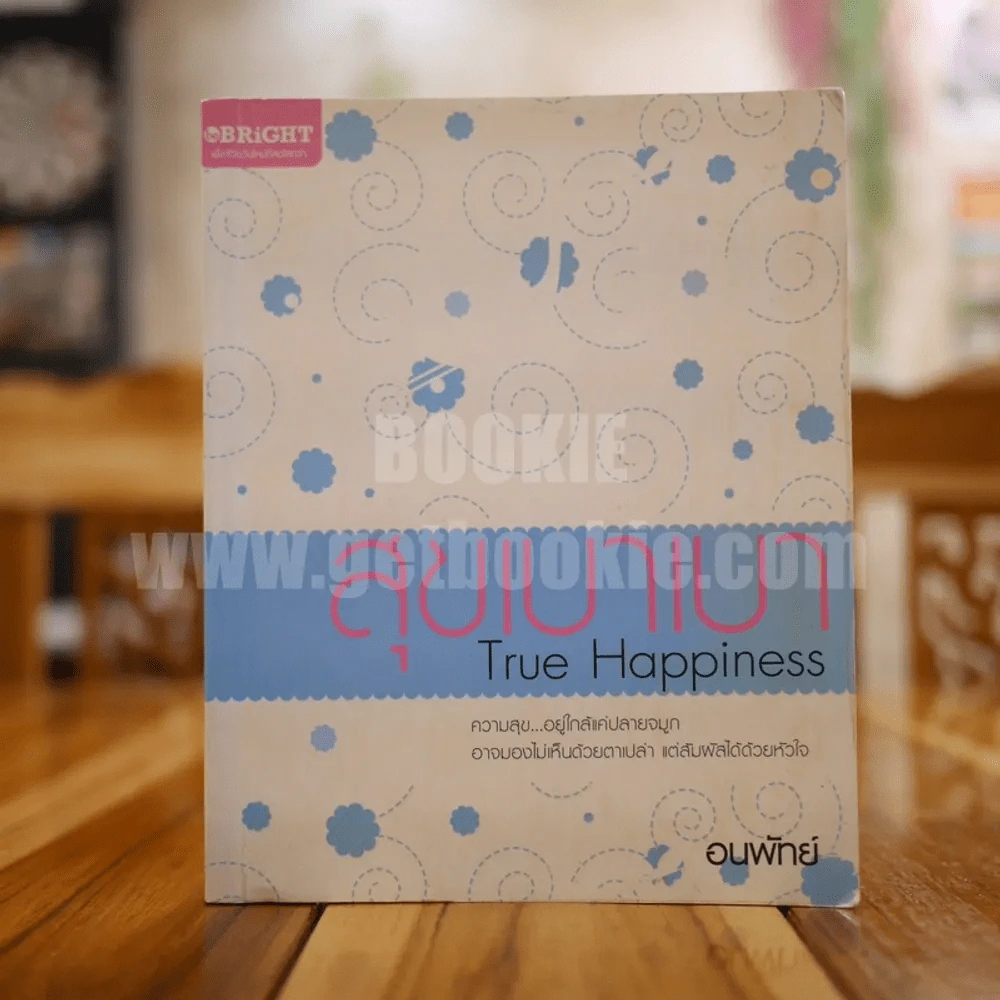 สุขเบาเบา The Happiness - อนพัทย์ รูปที่ 1