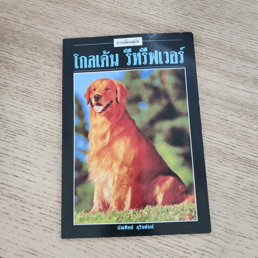 โกลเด้น รีทรีฟเวอร์ - บัณฑิตย์ สุริยพันธ์ รูปที่ 1