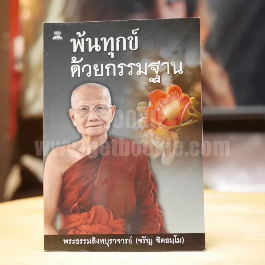 พ้นทุกข์ด้วยกรรมฐาน - พระธรรมสิงหบุราจารย์ (จรัญ ฐิตธมฺโม) รูปที่ 1