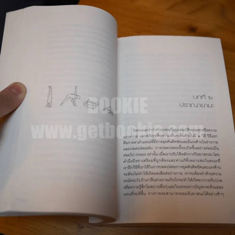 หัวใจแห่งโยคะ ค้นหาท่วงท่าและมรรคาเฉพาะตัว รูปที่ 8