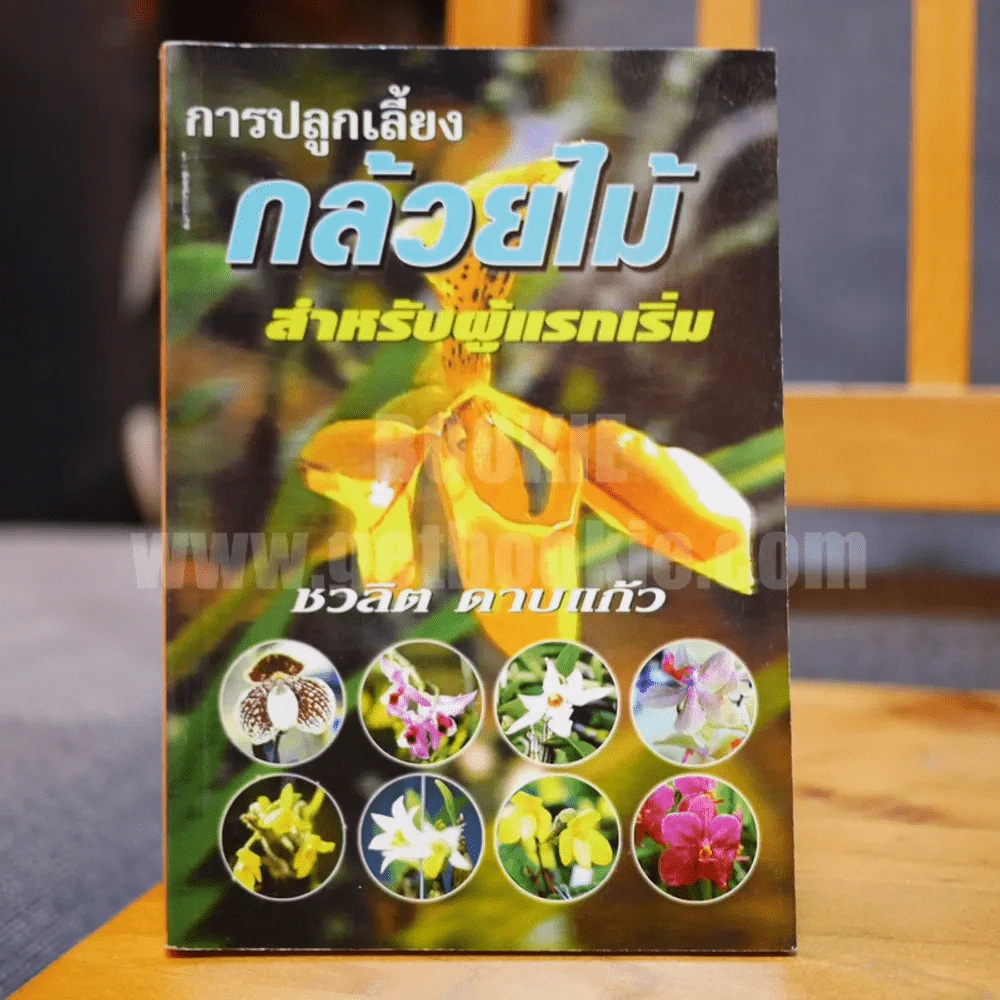 การปลูกเลี้ยงกล้วยไม้ สำหรับผู้แรกเริ่ม - ชวลิต ดาบแก้ว รูปที่ 1