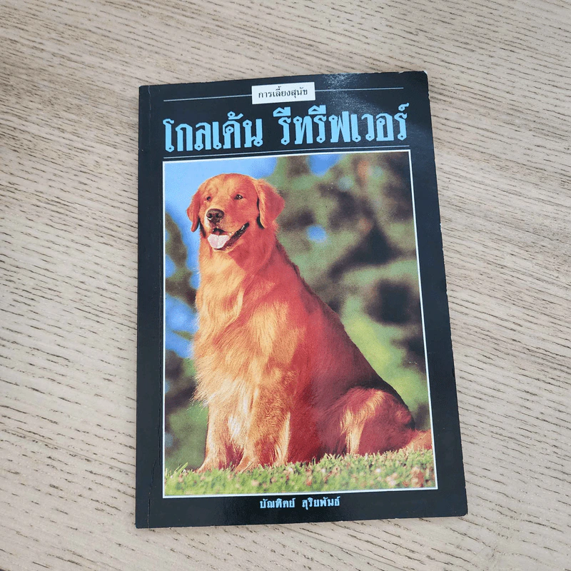 โกลเด้น รีทรีฟเวอร์ - บัณฑิตย์ สุริยพันธ์ รูปที่ 1