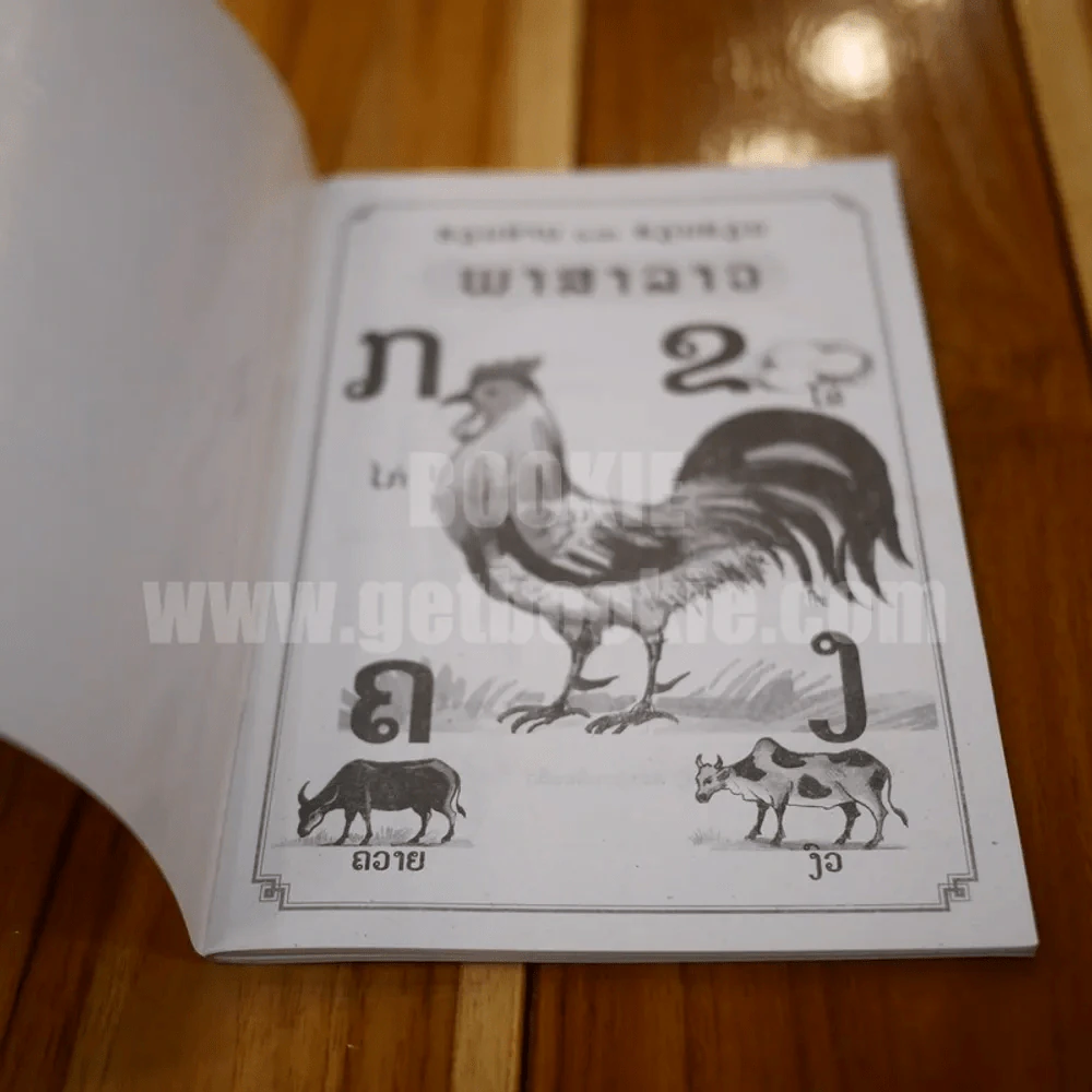 พาสาลาว (ภาษาลาว) รูปที่ 3