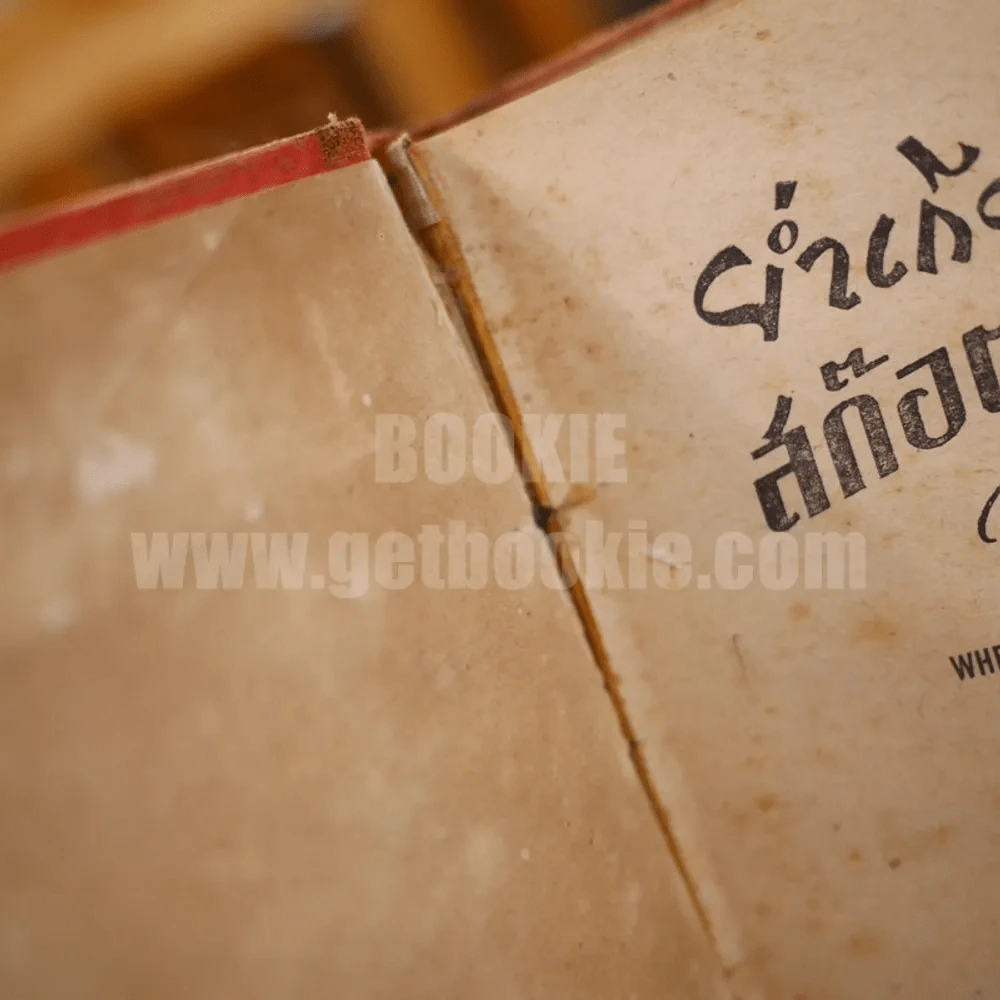 ย่ำเกียรติสก๊อตแลนด์ยาร์ด - อำไพ นาคะเสถียร รูปที่ 10