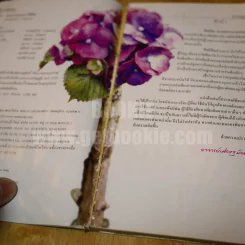 ร้อยพรรณพฤกษา ไม่มีพิษ รูปที่ 5