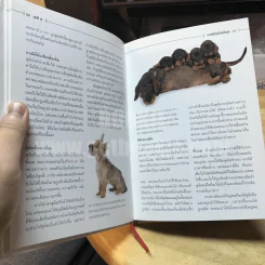 Dog  Training Handbook คู่มือฝึกสุนัข: เห็นผลใน 10 สัปดาห์ รูปที่ 4