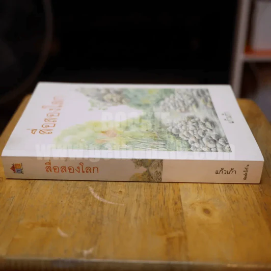 สื่อสองโลก - แก้วเก้า รูปที่ 2