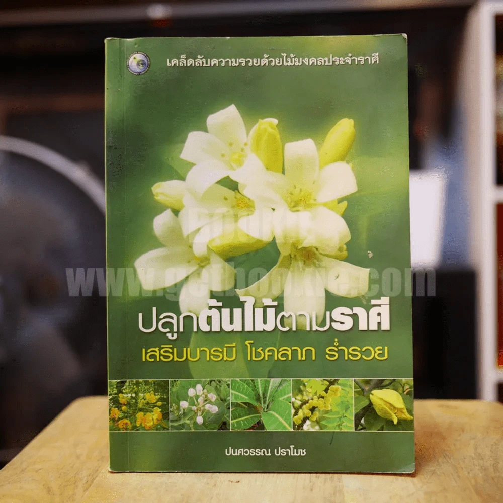 ปลูกต้นไม้ตามราศี เสริมบารมี โชคลาภ ร่ำรวย - ปนศวรรณ ปราโมช รูปที่ 1