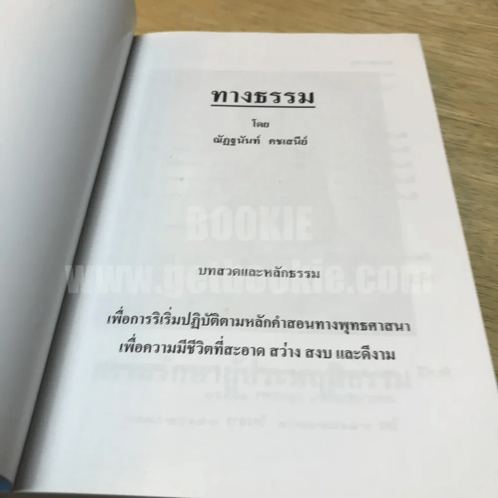 ทางธรรม - ณัฏฐนันท์ คชเสนีย์ รูปที่ 3