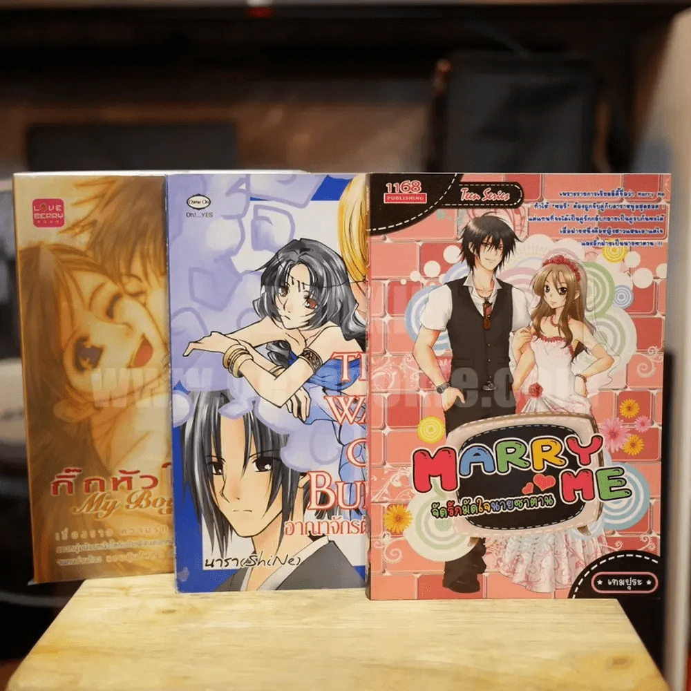 นิยายรักวัยรุ่น 3 เล่ม 100 ชุดที่ 5 กิ๊กหัวใจ,อาณาจักรต้องมนตรา,จัดรักมัดใจ รูปที่ 1