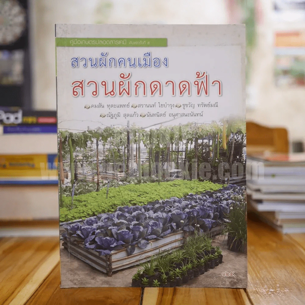 คู่มือเกษตรปลอดสารเคมี สวนผักคนเมือง สวนผักดาดฟ้า รูปที่ 1
