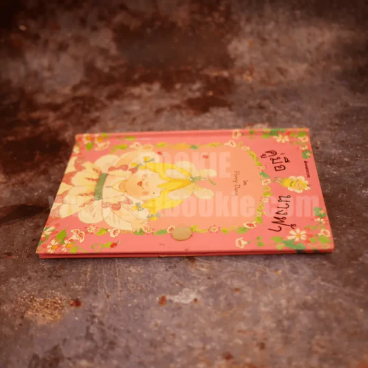 คู่มือนางฟ้า รูปที่ 3