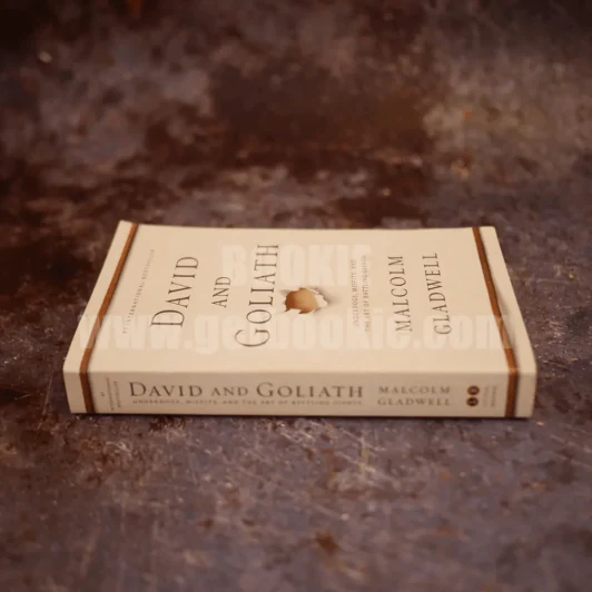 David and Goliath รูปที่ 2