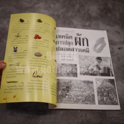 เทคนิคการปลูกผัก ปลอดสารเคมี รูปที่ 3