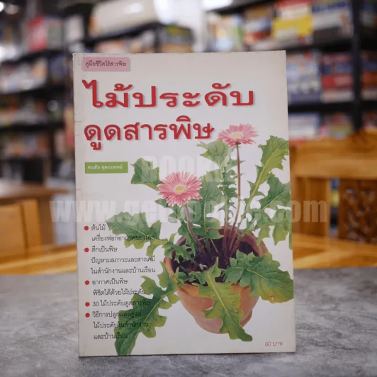 ไม้ประดับดูดสารพิษ รูปที่ 1