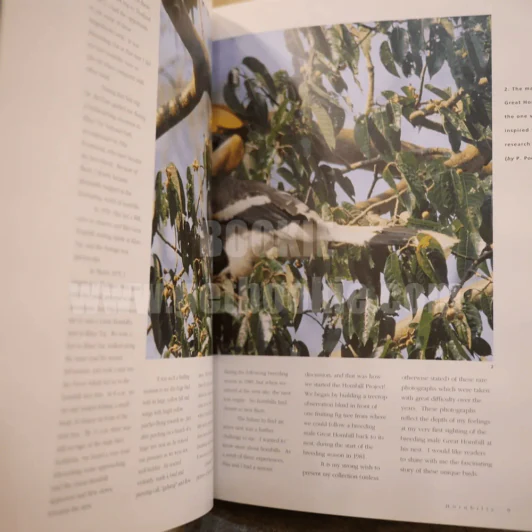 Hornbills Masters of Tropical Forests นกเงือก รูปที่ 4