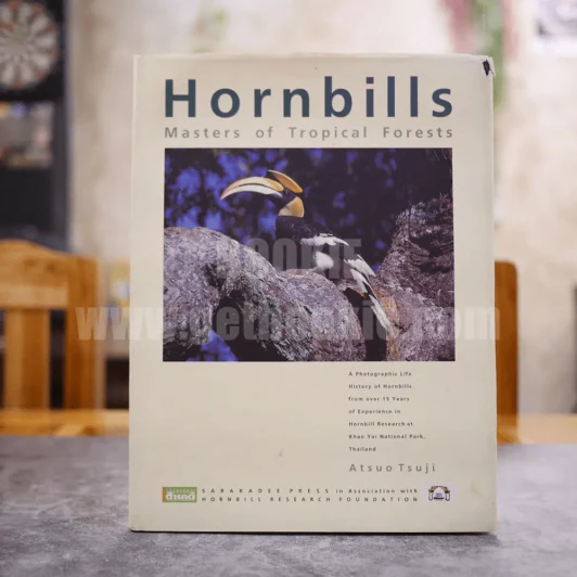 Hornbills Masters of Tropical Forests นกเงือก รูปที่ 1
