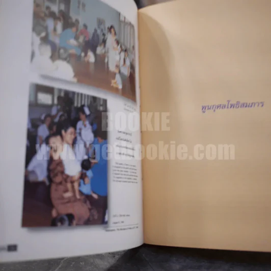 ข้าแต่สมเด็จอุปนายิกา รูปที่ 8