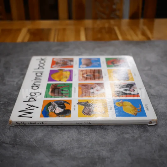 My big animal book รูปที่ 2