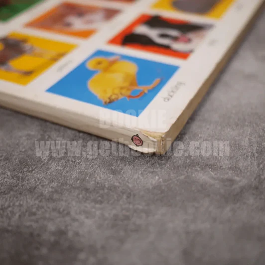 My big animal book รูปที่ 3