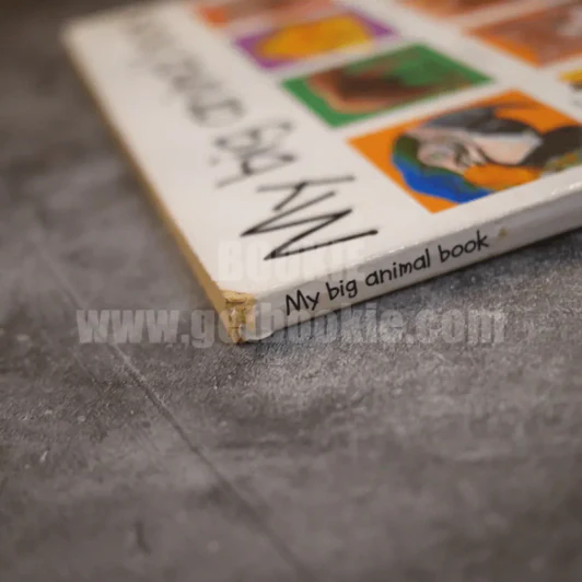 My big animal book รูปที่ 4