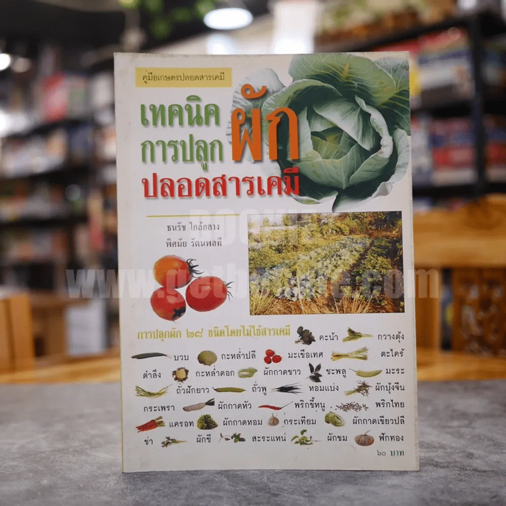 เทคนิคการปลูกผัก ปลอดสารเคมี รูปที่ 1