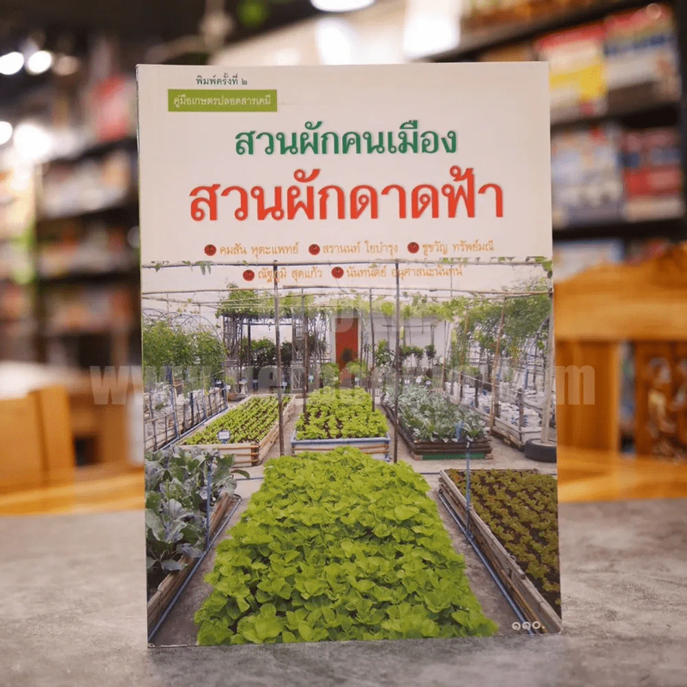 คู่มือเกษตรปลอดสารเคมี สวนผักคนเมือง สวนผักดาดฟ้า รูปที่ 1