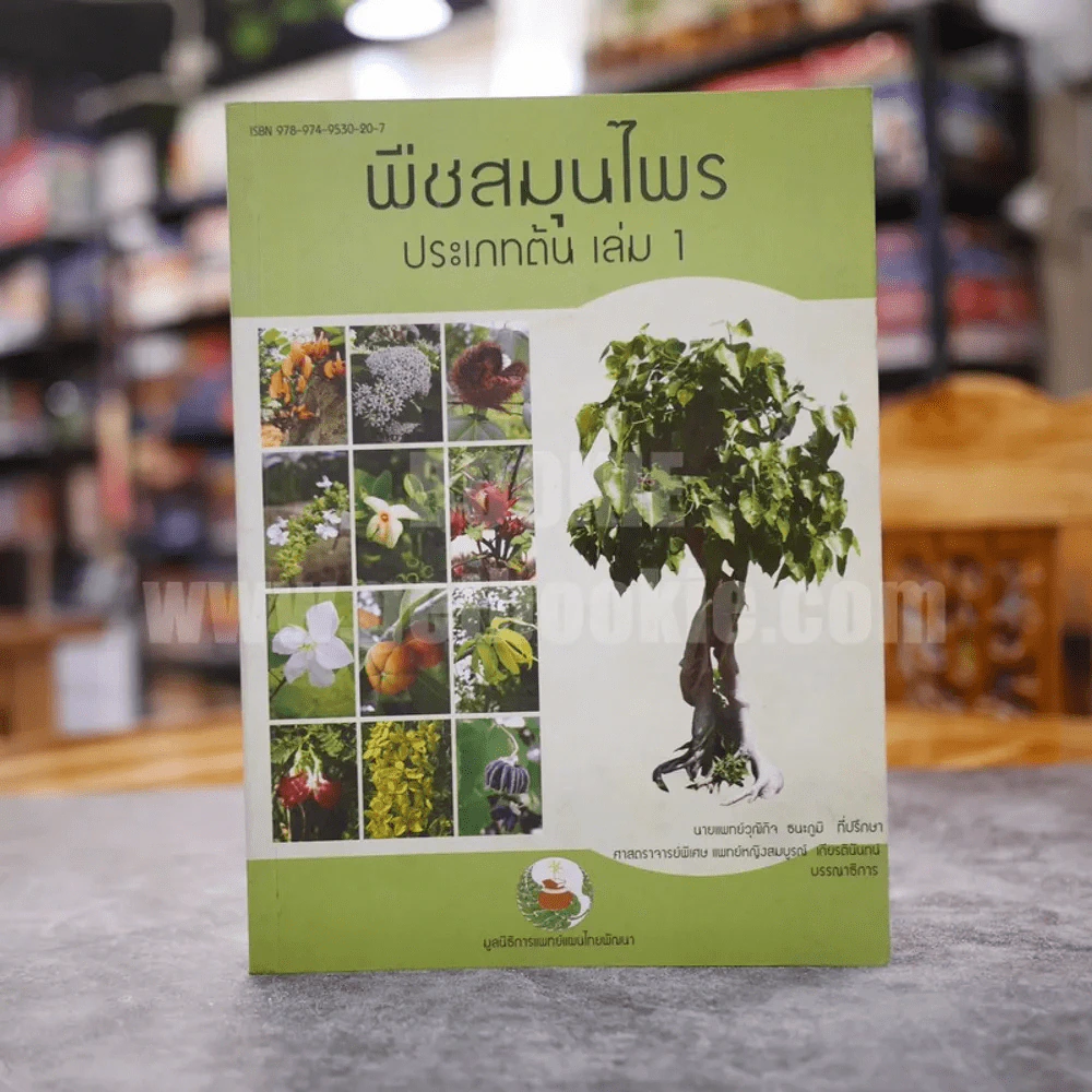 พืชสมุนไพร ประเภทต้นพืช เล่ม 1 รูปที่ 1