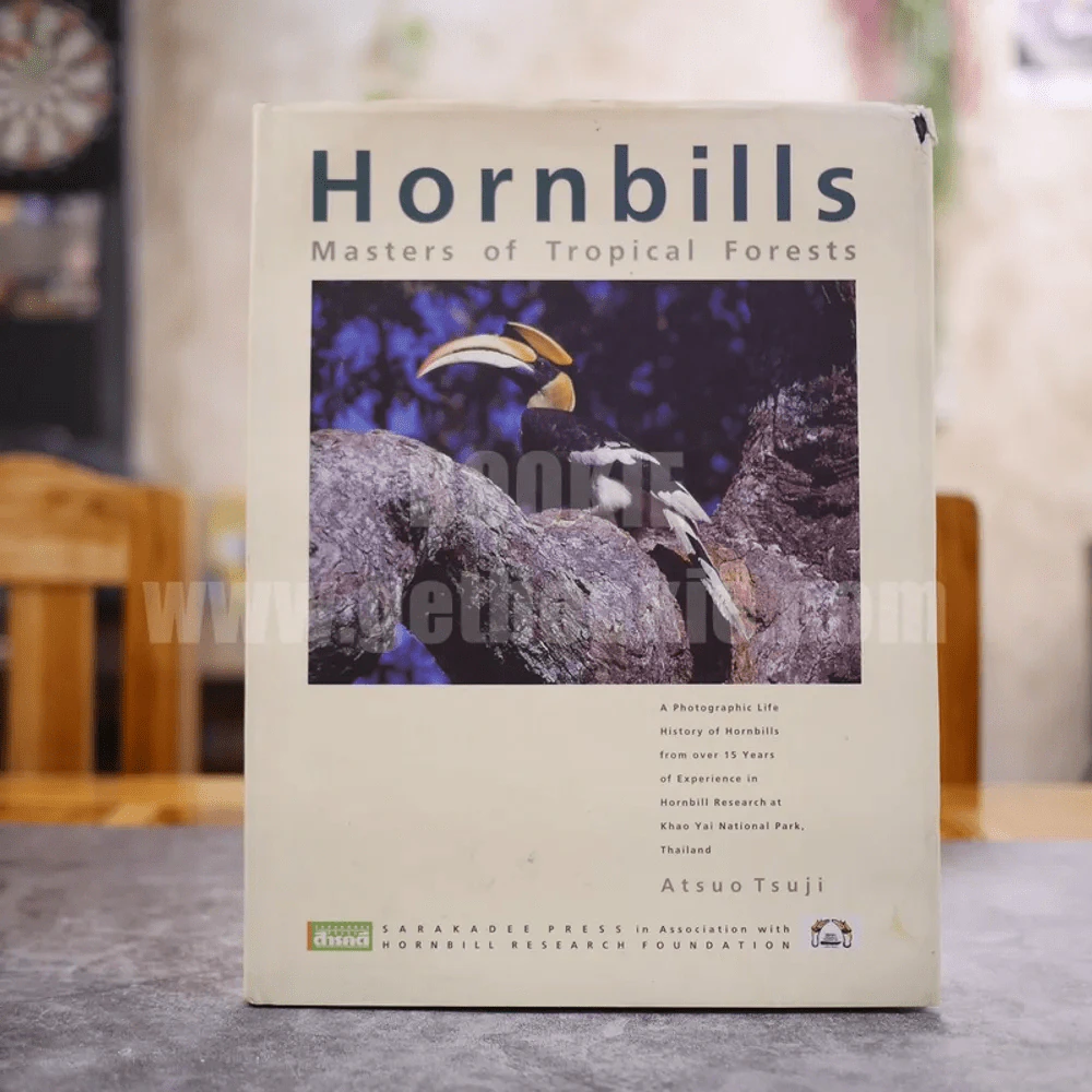 Hornbills Masters of Tropical Forests นกเงือก รูปที่ 1