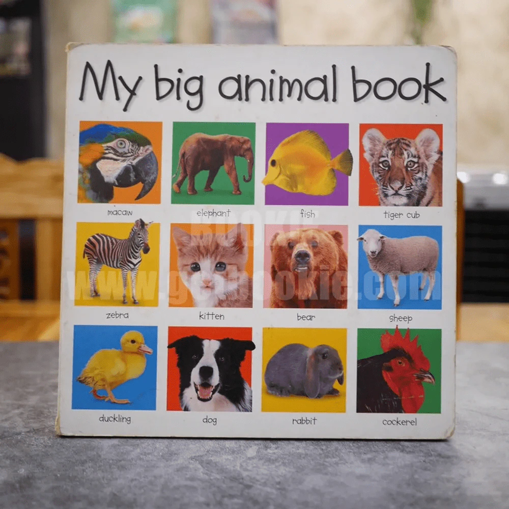 My big animal book รูปที่ 1