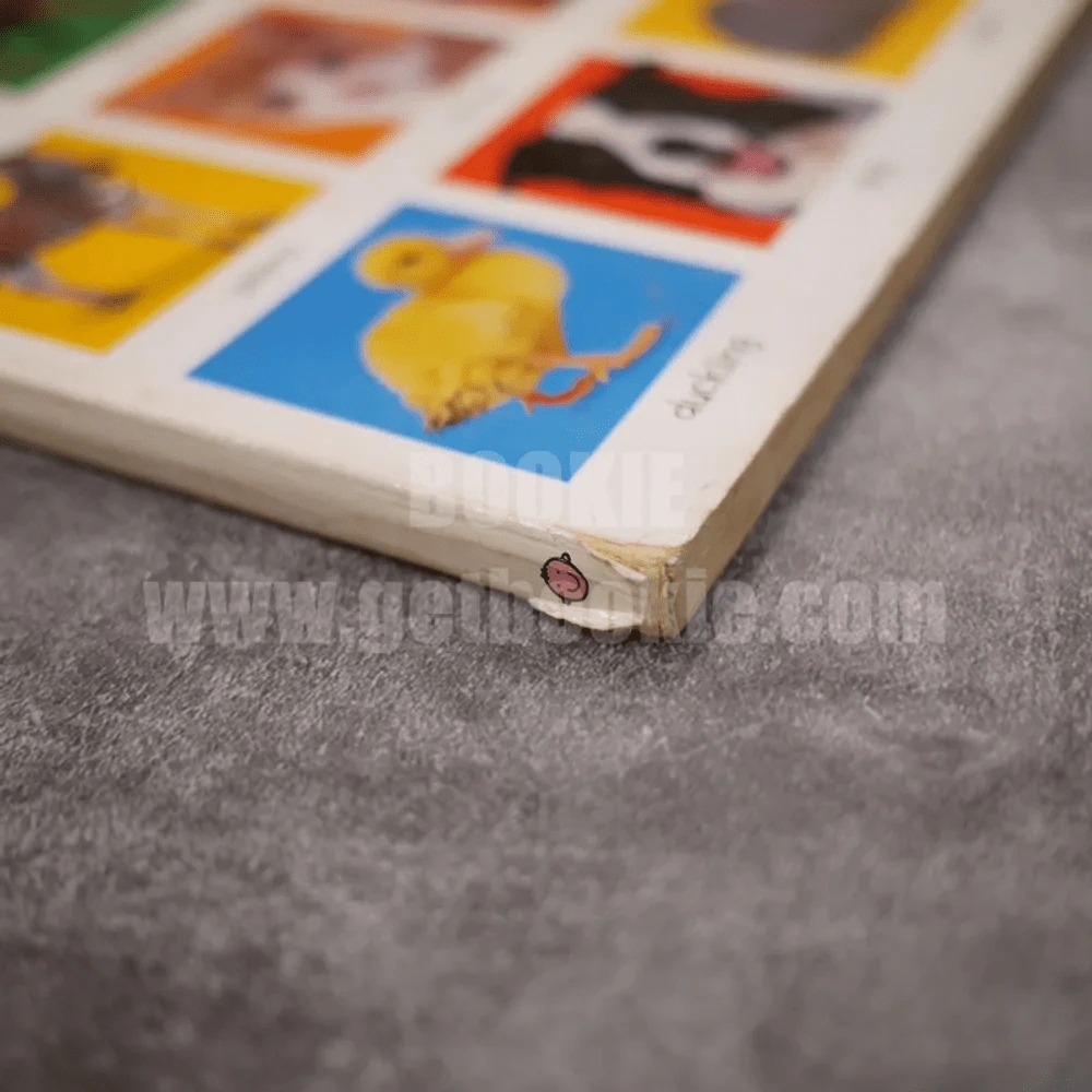 My big animal book รูปที่ 3