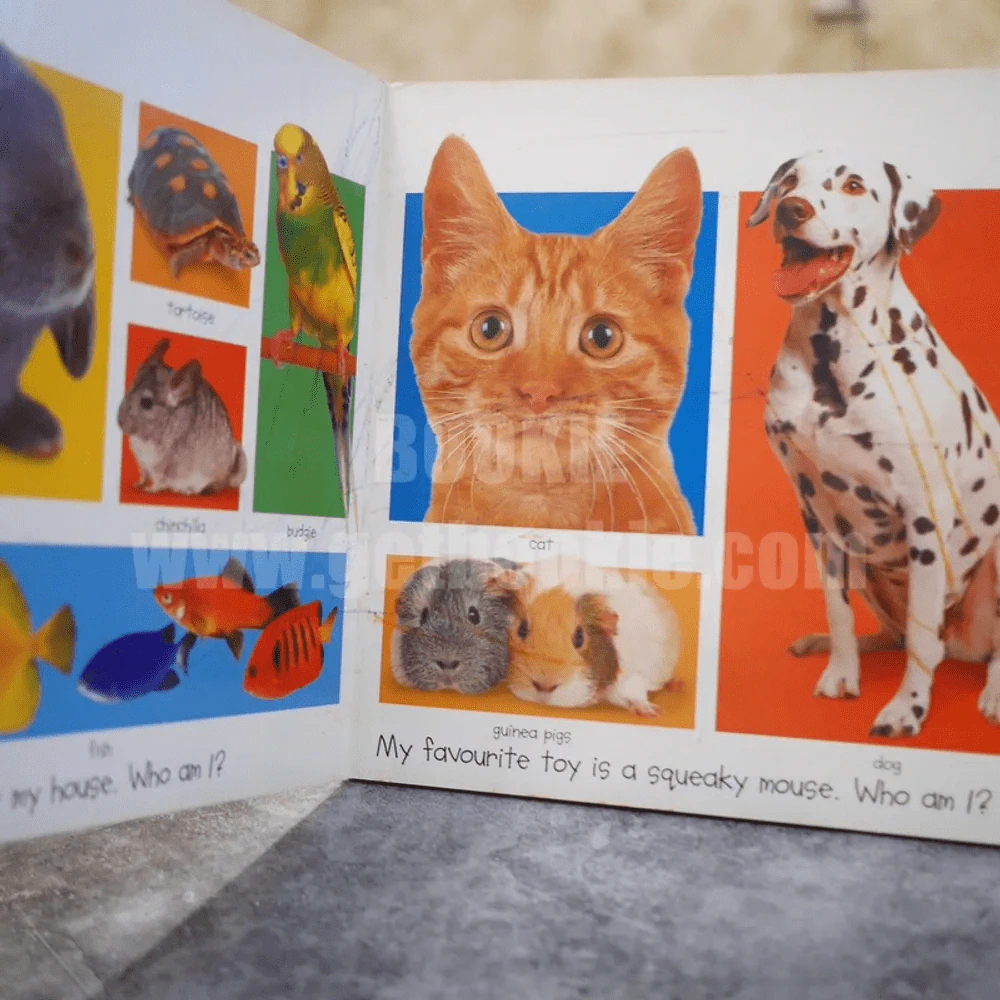 My big animal book รูปที่ 5