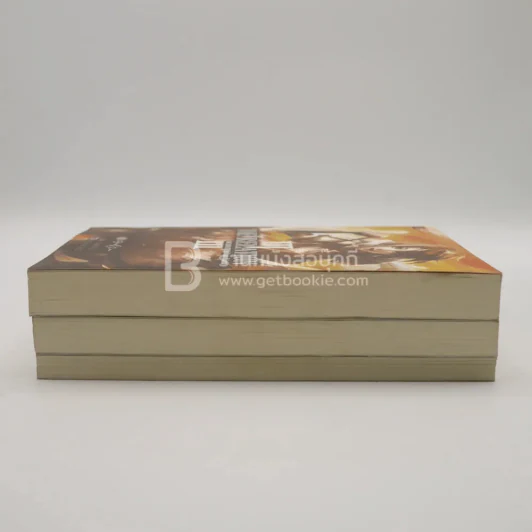 The Relation เล่ม 1-3 รูปที่ 3