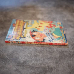 พ็อกเก็ตมอนสเตอร์ Pocket Monsters เล่ม 30 รูปที่ 2