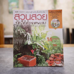 สวนสวยจัดได้ด้วยตนเอง ทาวน์เฮ้าส์ ดาดฟ้าตึกแถว คอนโด รูปที่ 1