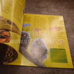 โลกของสัตว์ Animal World รูปที่ 3