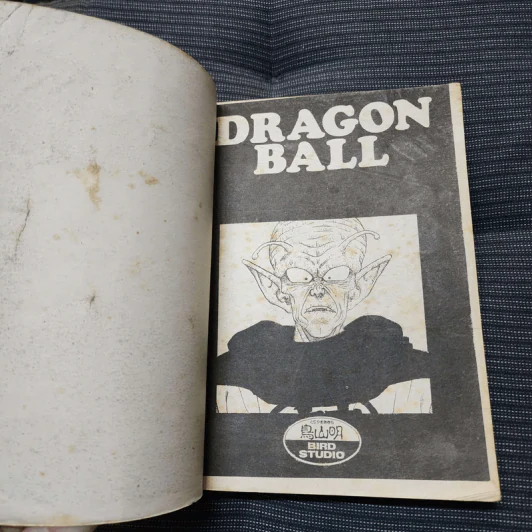 Dragonball Z เล่ม 15 รูปที่ 11