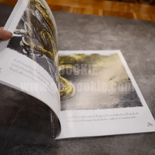 หนังสือเสริมความรู้ ชุด ย้อนรอยชีวิตสัตว์โลกล้านปี สไปโนซอรัส รูปที่ 3