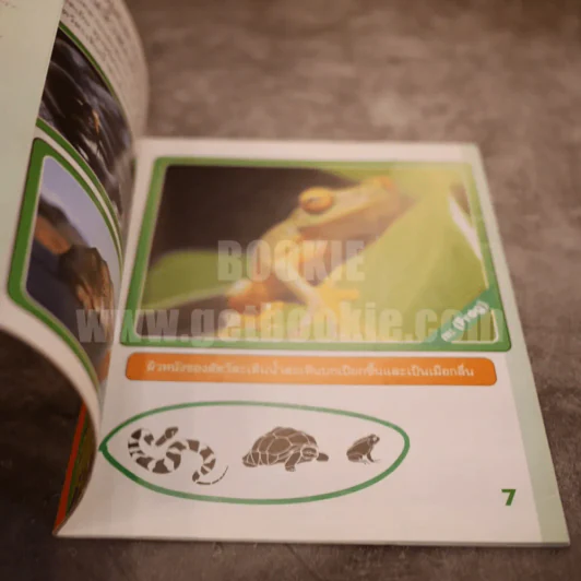 หนังสืออ่านเสริมตามกลุ่มสาระการเรียนรู้วิทยาศาสตร์ สำหรับช่วงชั้นปฐมวัย การจัดกลุ่มสัตว์ รูปที่ 3