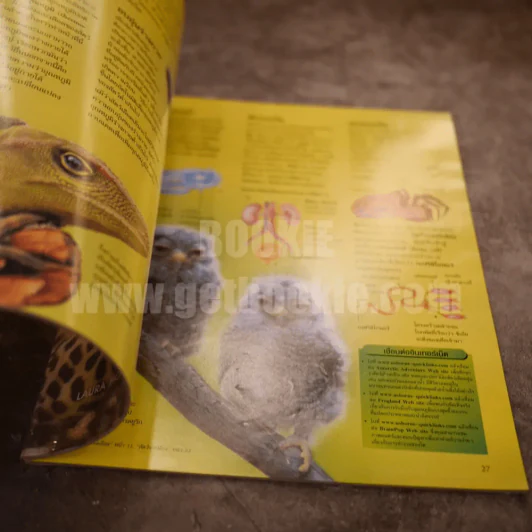 โลกของสัตว์ Animal World รูปที่ 3