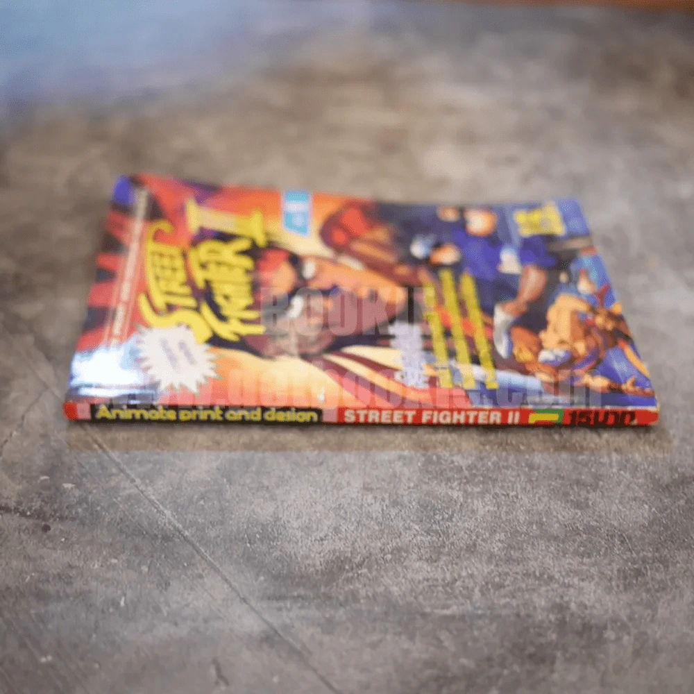 Street Fighter II Volume 1 รูปที่ 2