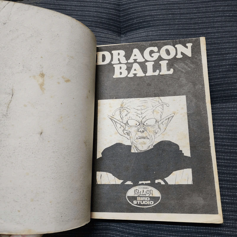 Dragonball Z เล่ม 15 รูปที่ 11
