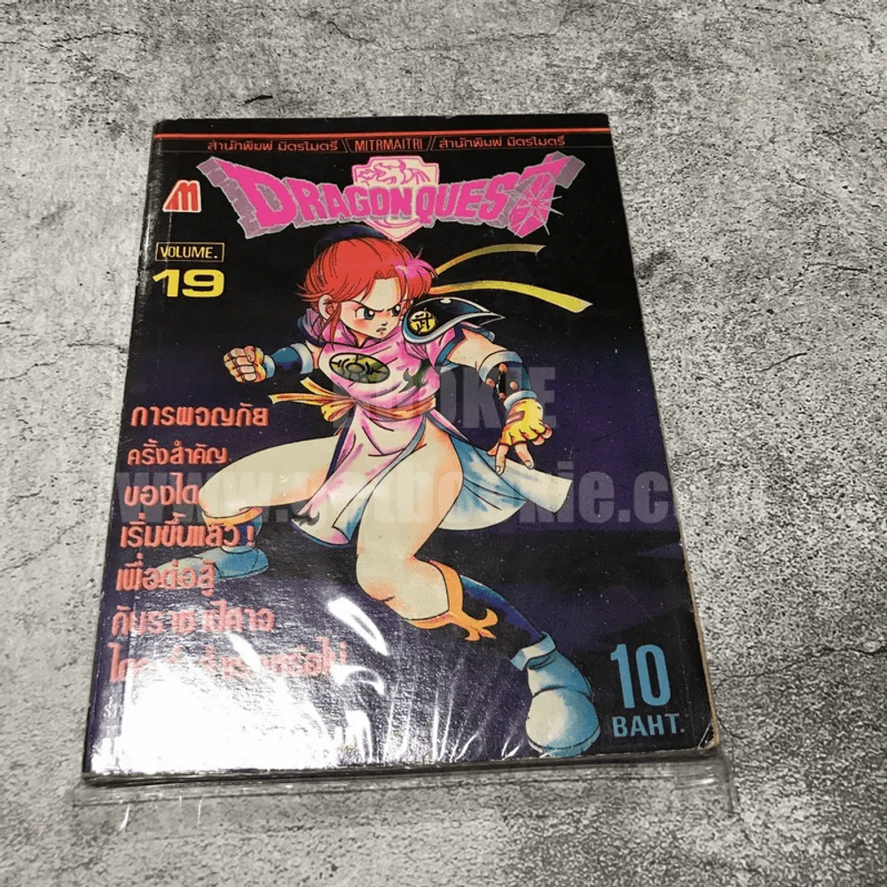 Dragon Quest Volume.19 รูปที่ 1