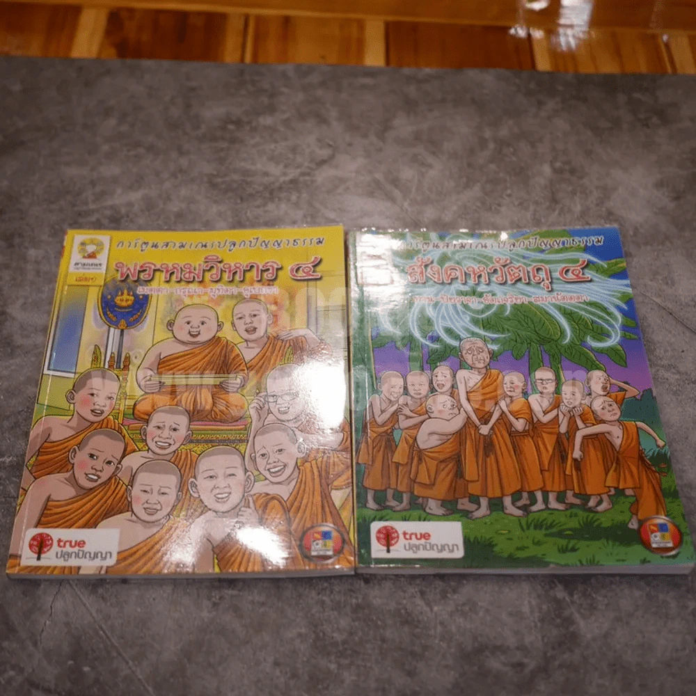 การ์ตูนสามเณรปลูกปัญญาธรรม เล่ม 1-4 พรหมวิหาร 4, สังสคหวัตถุ 4, อริยสัจ 4, อิทธิบาท 4 รูปที่ 6